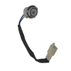 ARNES FOCO DIRECCIONAL IZQ.PARA DS-150