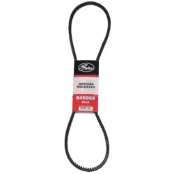 BANDA 8218 DENTADA K DH 81-82 CORDOBA
