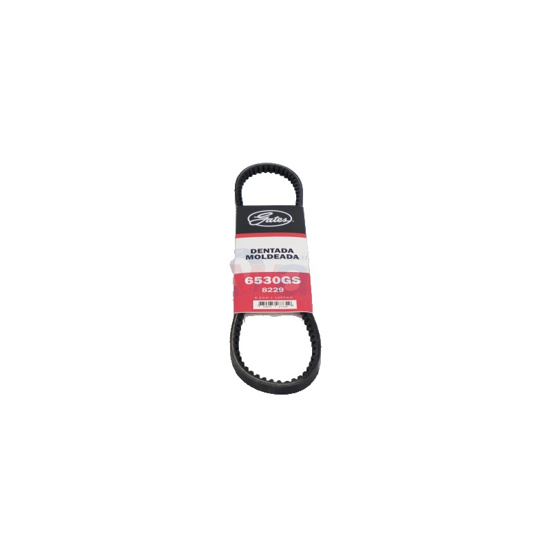 BANDA 8229 DENT-IMP.8 64 CHE.C-10.20