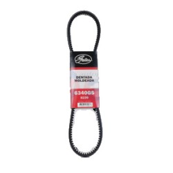 BANDA 8239 DENTADA FORD 8CIL. 78-83 CAR