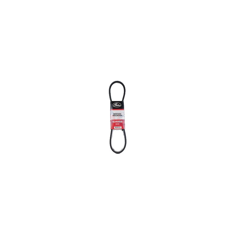 BANDA 8239 DENTADA FORD 8CIL. 78-83 CAR
