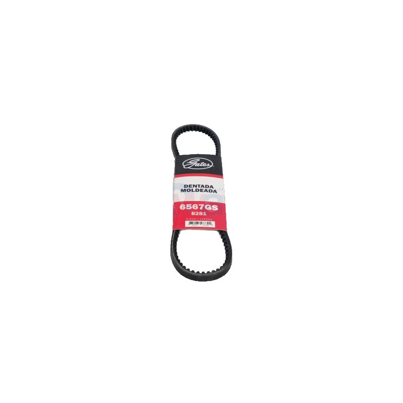 BANDA 8281 DENT- DART 6 Y 8 CIL 71-82
