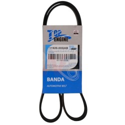 BANDA ACCESORIOS PLATINA 02-10 CLIO 04-1