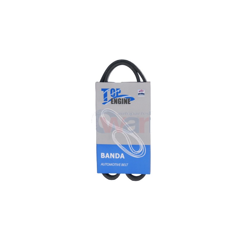 BANDA ALTERNADOR NS TSURU III 16V 4PK810 TOP ENGIN