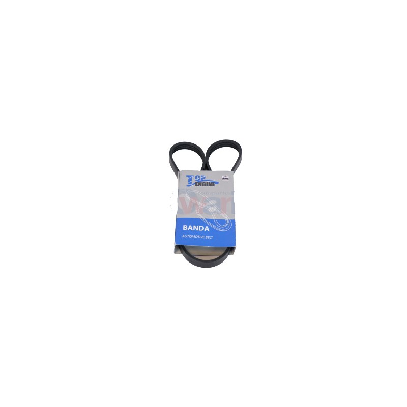 BANDA ALTERNADOR NS TSURU III 16V AUSTERO 4PK910 T
