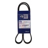 BANDA ALTERNADOR NS VERSA MARCH 12-18 1.6L C/AIRE,BANDA ALTERNADOR NS VERSA MARCH 12-18 1.6L C/AIRE