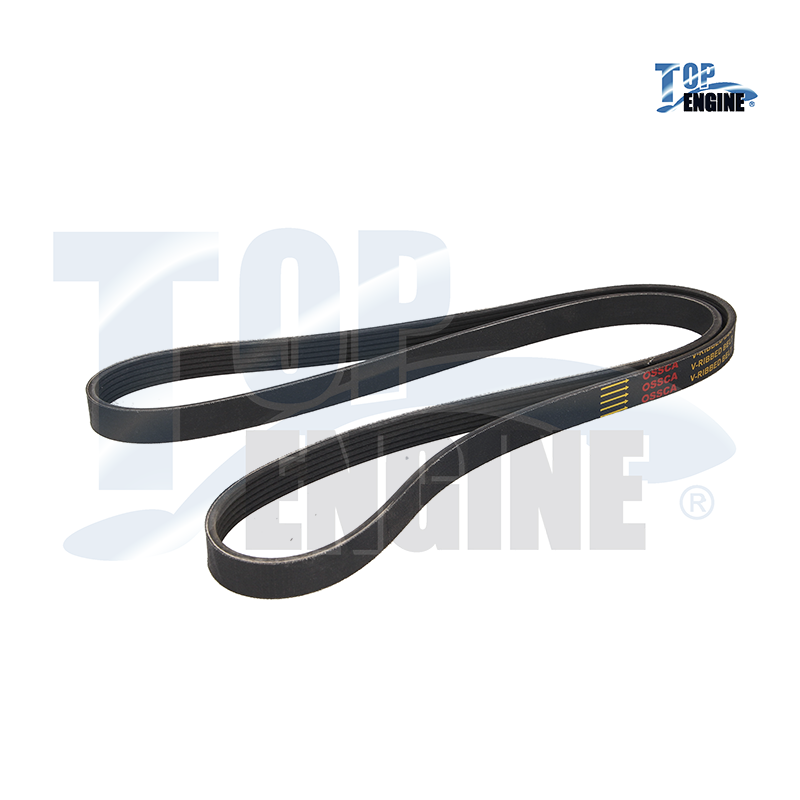 BANDA ALTERNADOR VW EUROVAN T4 01-04 2.5L S/AC 20X1694 K060667 6PK1695 TOP ENGIN,1