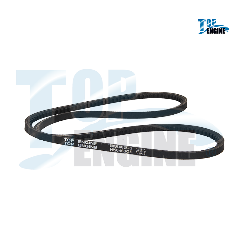 BANDA DIR HID GM CELEBRITY 82-89 2.8L TOP ENGINE,1