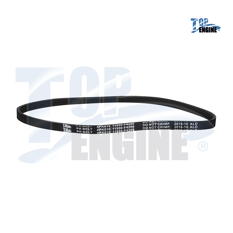 BANDA DIRECCION HIDRAULICA NS TSURU III 16V SENTRA B14 4PK810 TOP ENGINE,1