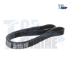 BANDA DIRECCION HIDRAULICA VW A4 BEETLE EUROVAN 05-07 SIN AAC 6PK1120 K060441 TO,1