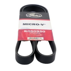 BANDA MICRO V