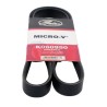 BANDA MICRO V
