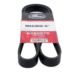 BANDA MICRO V