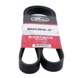 BANDA MICRO V