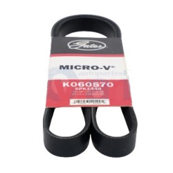 BANDA MICRO V