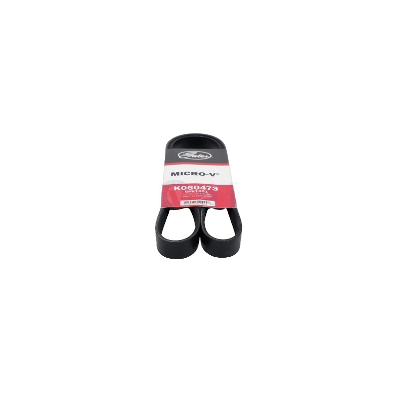 BANDA MICRO V (6PK1201)