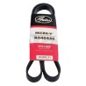 BANDA MICRO V CHRY NEON SE MTX 4 LT 2.0