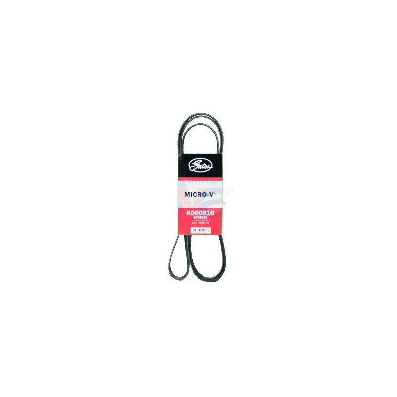 BANDA MICRO V EXPLORER 98 V6