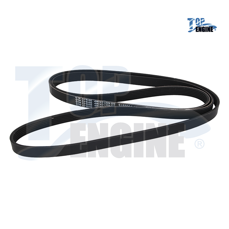 BANDA MICRO V FD GRAND MARQUIS 95-99 4.6 V8 VW TOUAREG 09-10 3.0 V6 DIESEL 6PK24,1
