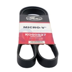 BANDA MICRO V FOCUS LX SE 2.0LTS ZE