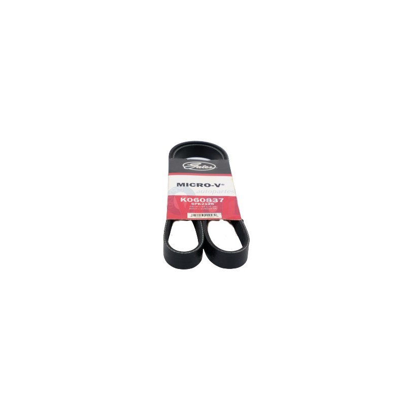 BANDA MICRO V FOCUS LX SE 2.0LTS ZE