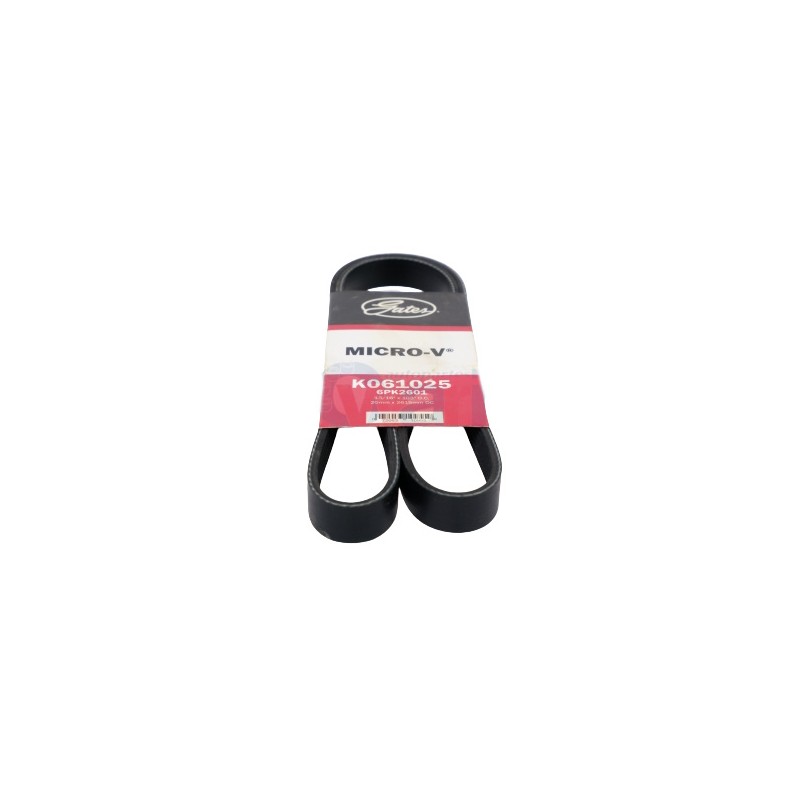 BANDA MICRO V FORD F150 V6 4.2LTS 00