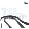 BANDA MICRO V GM SUBURBAN EXPRESS 03-10 6.0 V8 CAPTIVA 08-11 3.6 V6 PK2362 TOP E,1
