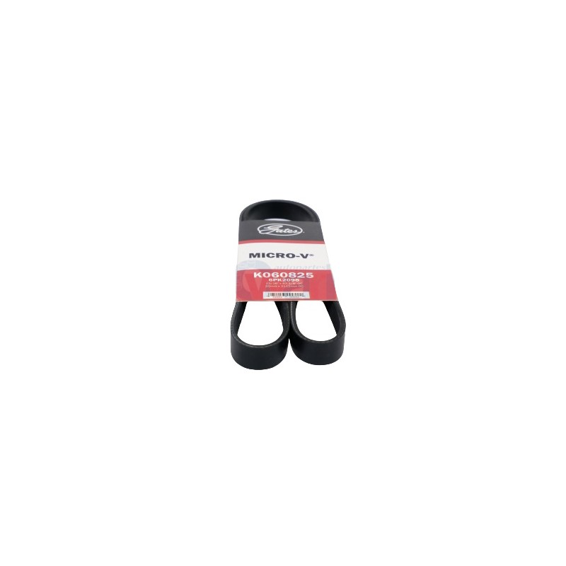 BANDA MICRO V MUSTANG 81/84 MOT V8 5