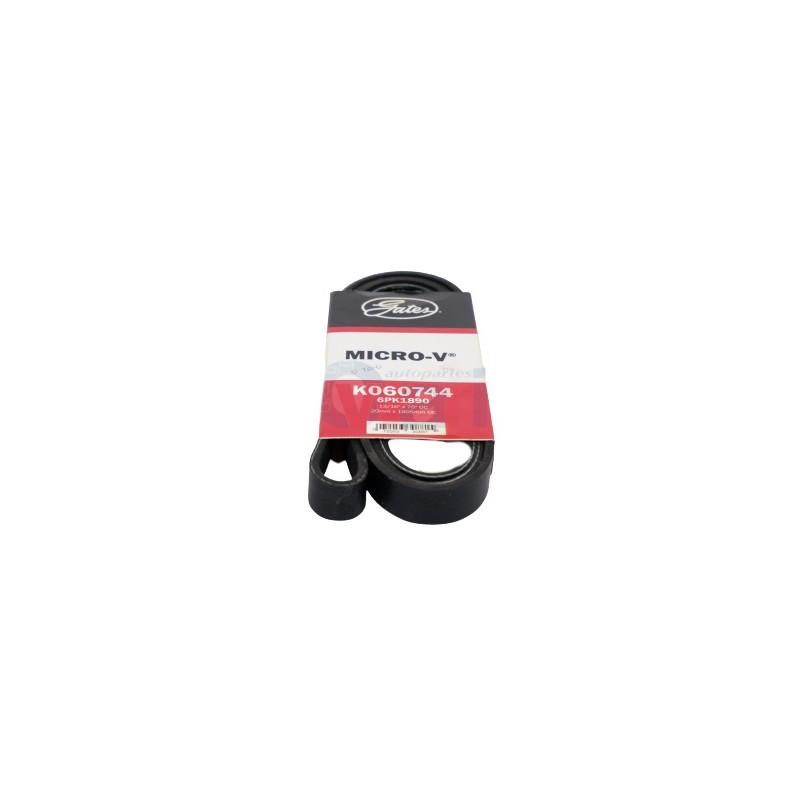 BANDA MICRO V S10 2.2LTS 4L VORTEC 98