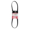 BANDA MICRO V VERSA 11 MARCH 11-15