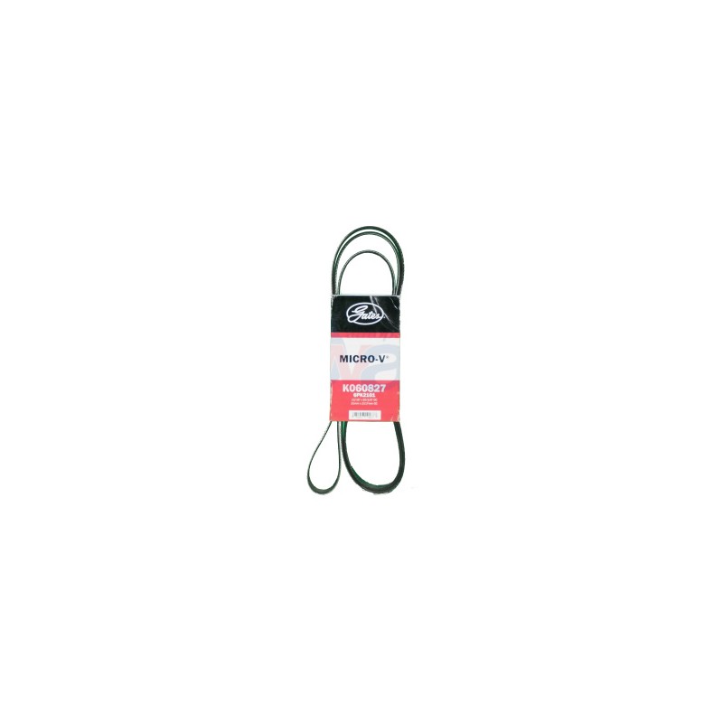 BANDA MICRO V WINDSTAR 98 3.8 LTS S/AA